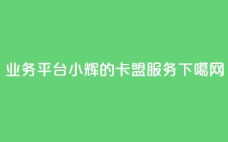 qq业务平台小辉的卡盟服务