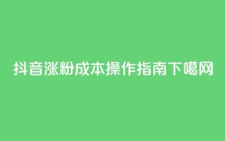 抖音涨粉成本操作指南