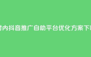 24小时内抖音推广自助平台优化方案