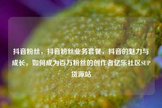 抖音粉丝，抖音粉丝业务套餐，抖音的魅力与成长，如何成为百万粉丝的创作者亿乐社区SUP货源站