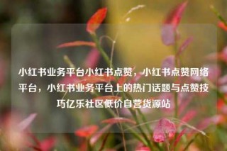 小红书业务平台小红书点赞，小红书点赞网络平台，小红书业务平台上的热门话题与点赞技巧亿乐社区低价自营货源站