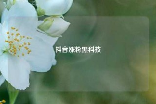 抖音涨粉黑科技