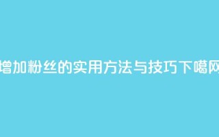 增加粉丝的实用方法与技巧