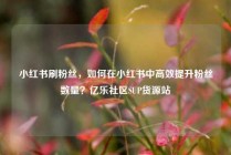 小红书刷粉丝，如何在小红书中高效提升粉丝数量？亿乐社区SUP货源站