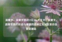 流量卡，流量卡移动19元200g大王卡，流量卡，连接生活的桥梁与便捷的选择亿乐社区低价自营货源站