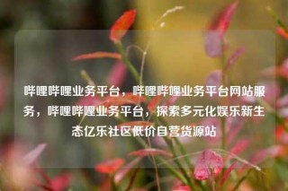 哔哩哔哩业务平台，哔哩哔哩业务平台网站服务，哔哩哔哩业务平台，探索多元化娱乐新生态亿乐社区低价自营货源站