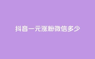 抖音一元涨粉1000微信多少,低价买qq会员的软件 - 粉丝互相关注是什么意思 - 低价QQ超级会员
