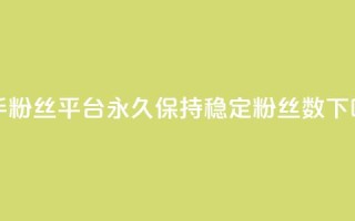 快手粉丝平台永久保持稳定粉丝数