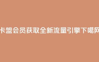 卡盟会员：获取全新流量引擎