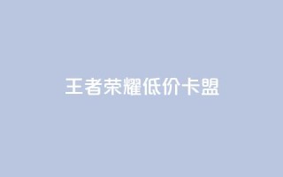王者荣耀低价卡盟,抖音下单点赞软件 - 彩虹系统官方网站 - Dy冲值