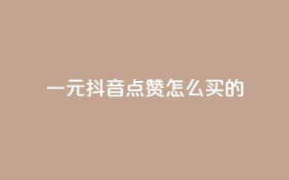 一元抖音点赞怎么买的,云商城app下载安卓 - 快手播放量10000 - 王者荣耀热度值购买