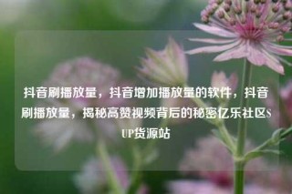 抖音刷播放量，抖音增加播放量的软件，抖音刷播放量，揭秘高赞视频背后的秘密亿乐社区SUP货源站