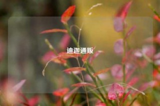 迪迦通贩
