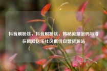 抖音刷粉丝，抖音刷粉丝，揭秘流量密码与潜在风险亿乐社区低价自营货源站