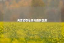 夫妻相敬举案齐眉的意思