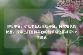 涨粉平台，小红书在线涨粉平台，持续增长的秘密，探索热门涨粉平台的新策略亿乐社区SUP货源站