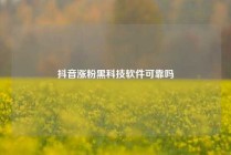 抖音涨粉黑科技软件可靠吗