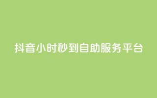 抖音24小时秒到自助服务平台,天创卡盟 - 拼多多业务关注下单平台 - 拼多多助力怎么这么困难的