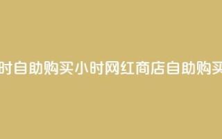 网红商店24小时自助购买(24小时网红商店自助购买指南)