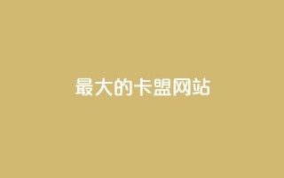 最大的卡盟网站,807卡盟网 - 卡盟刷svip永久不封号网站 - 抖音充值官方1:1