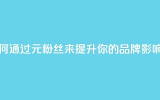 1元1w粉丝(如何通过1元1w粉丝来提升你的品牌影响力)