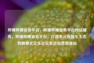 哔哩哔哩业务平台，哔哩哔哩业务平台网站服务，哔哩哔哩业务平台，打造多元化娱乐生态的新模式亿乐社区低价自营货源站