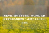 涨粉平台，涨粉平台秒到账，深入探索，如何利用涨粉平台有效提升个人影响力亿乐社区SUP货源站