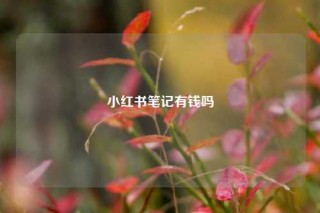 小红书笔记有钱吗
