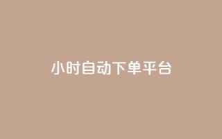 dy24小时自动下单平台 - 24小时自动下单平台DY全新体验指南！