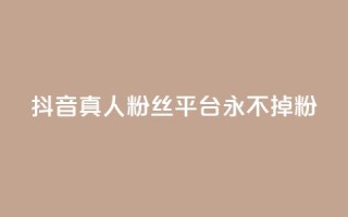 抖音真人粉丝平台 永不掉粉,抖音赞平台全网最便宜 - 拼多多助力网站在线刷便宜 - 拼多多蓝天助手