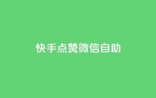 快手点赞微信自助 - 快手点赞与微信自助操作全指南！