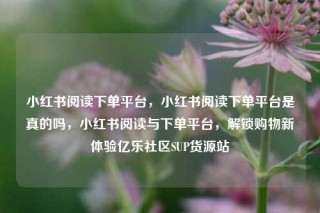 小红书阅读下单平台，小红书阅读下单平台是真的吗，小红书阅读与下单平台，解锁购物新体验亿乐社区SUP货源站