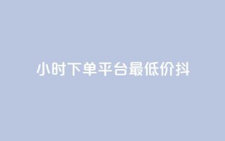 24小时下单平台最低价抖,dy业务自动下单网站 - 快手人气自助网站 - 王者荣耀主页赞自助平台