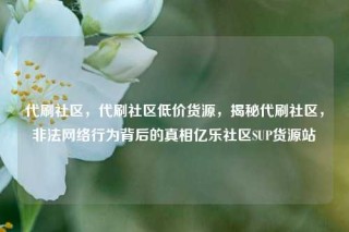 代刷社区，代刷社区低价货源，揭秘代刷社区，非法网络行为背后的真相亿乐社区SUP货源站