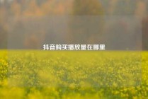 抖音购买播放量在哪里