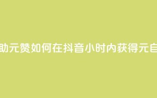 抖音24小时自助30元1000赞(如何在抖音24小时内获得30元自助1000赞？)