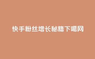 快手粉丝增长秘籍