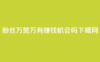 粉丝1万+赞47万，有赚钱机会吗？