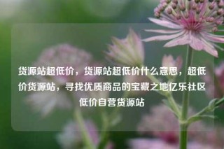 货源站超低价，货源站超低价什么意思，超低价货源站，寻找优质商品的宝藏之地亿乐社区低价自营货源站