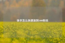 快手怎么快速涨到1000粉丝