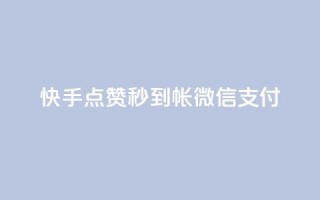 快手点赞秒到帐微信支付,QQ卖vip网 - 拼多多自动助力脚本 - 正品史密斯威森折刀