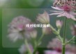 线对接绑法图解