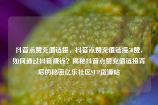 抖音点赞充值链接，抖音点赞充值链接50赞，如何通过抖音赚钱？揭秘抖音点赞充值链接背后的秘密亿乐社区SUP货源站