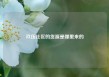 玖伍社区的货源是哪里来的
