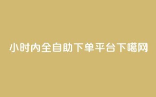 24小时内全自助下单平台