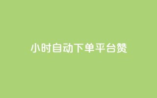 ks24小时自动下单平台赞 - 全新KS24小时智能下单平台助您轻松交易!