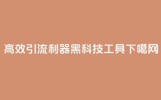 高效引流利器：黑科技SEO工具