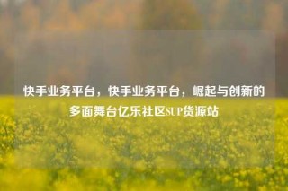 快手业务平台，快手业务平台，崛起与创新的多面舞台亿乐社区SUP货源站
