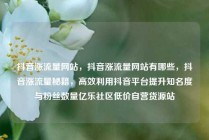 抖音涨流量网站，抖音涨流量网站有哪些，抖音涨流量秘籍，高效利用抖音平台提升知名度与粉丝数量亿乐社区低价自营货源站