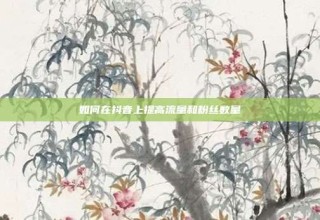 如何在抖音上提高流量和粉丝数量